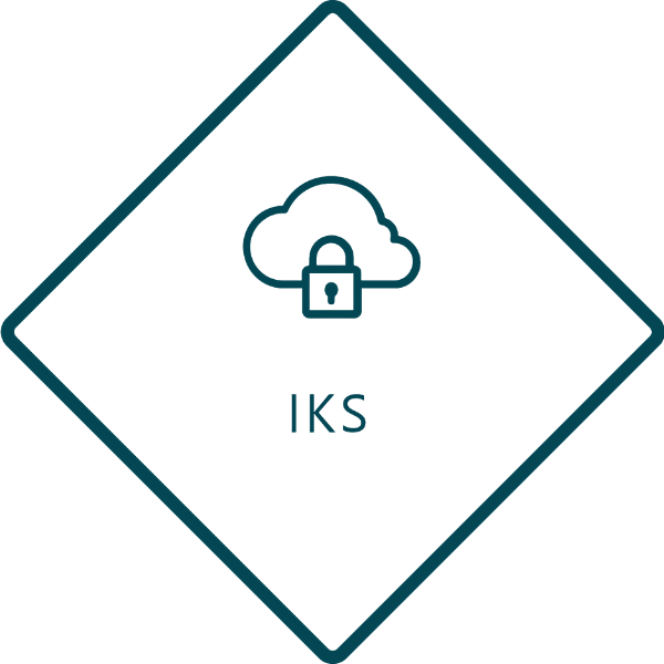 DHC VISION - IKS Software Logo